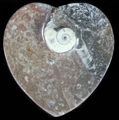 Heart Shaped Fossil Goniatite Dish #61273